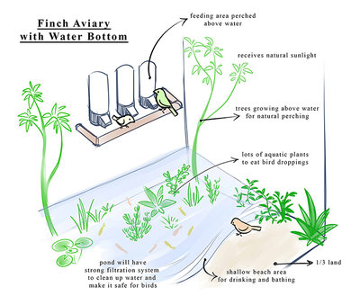 aviary plan.jpg