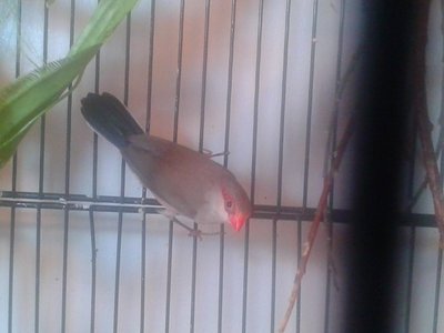 20141006_131205.jpg