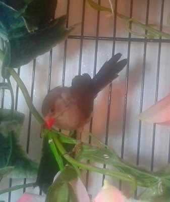 20141006_130925-1.jpg