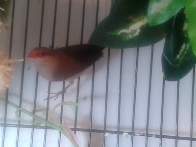 20141006_130130.jpg