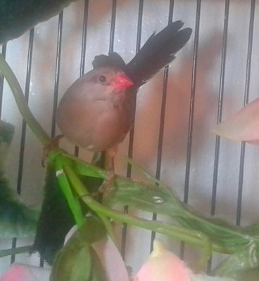 20141006_130931-1.jpg