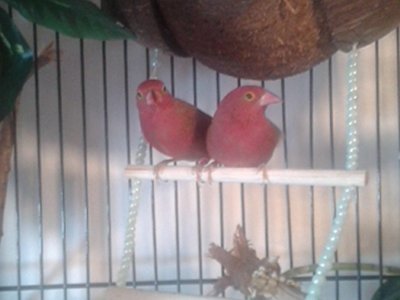 20141003_070859.jpg
