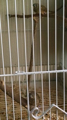 IMG_20141009_092632314.jpg