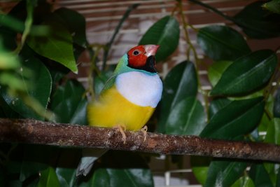 DSC_0003.JPG