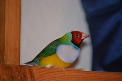 DSC_0005.JPG