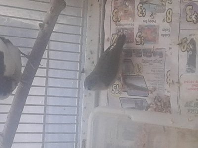 20141009_105931.jpg