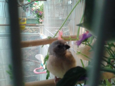 20141009_185051.jpg
