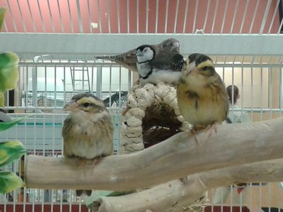 20141012_143148.jpg