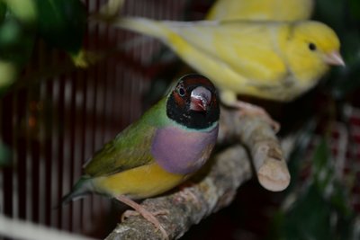DSC_0018.JPG