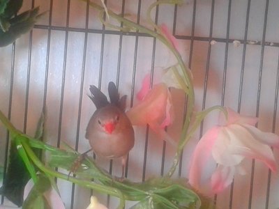 20141006_131013.jpg