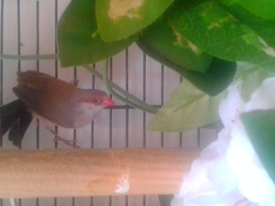 20141006_131030.jpg