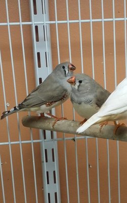20141022_182807-1.jpg