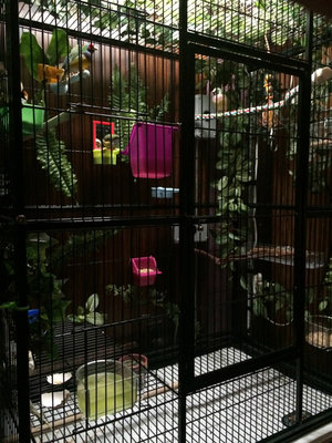 24-cage-wide-WEB.jpg