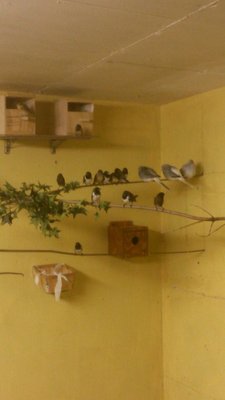 The favorite hangout