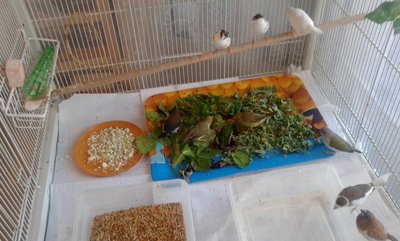 20141029_151055.jpg
