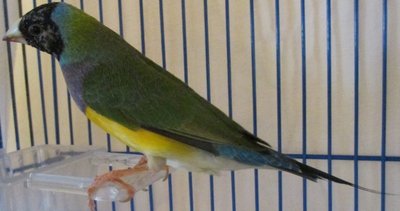 IMG_1472 (640x337) (2).jpg