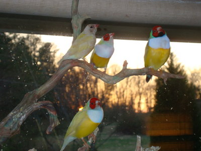 DSC05742.JPG