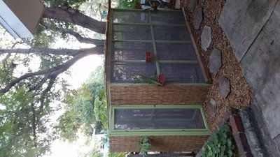 Our African Aviary.