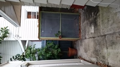 Our Australian Aviary