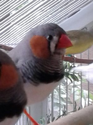 20140822_114904-1.jpg