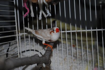 DSC_0029.JPG