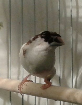 20140607_131313-1.jpg
