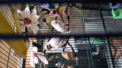 20141129_155946.jpg
