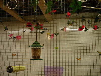 P3160003.JPG