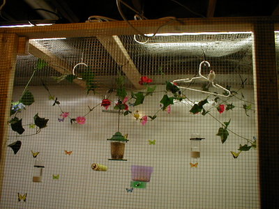 P3160007.JPG