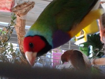 20140926_182911.jpg