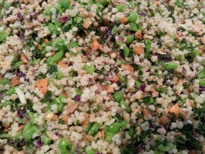 chopped peas, carrots, red cabbage, kale, zucchini, soaked pellets and couscous.jpg