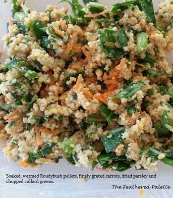 roudybush and veggies.jpg