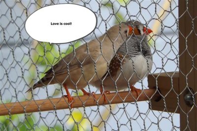 DSCF2537 (Small).JPG