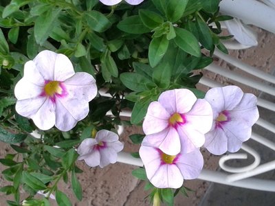 20140804_141102.jpg