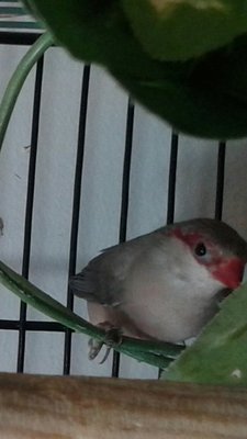 20141229_130813-1.jpg