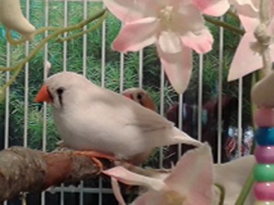 20140925_123756.jpg