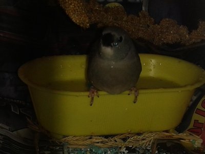 20141129_150042.jpg