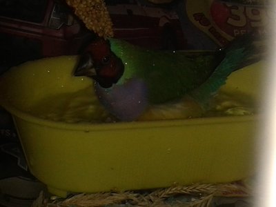20141129_145914.jpg