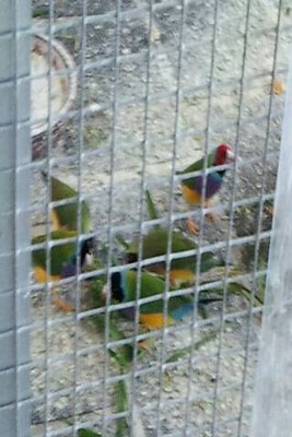 img20150108_072913.jpg