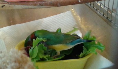 20150113_132544-1.jpg