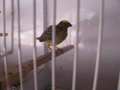 IMG_2078.JPG