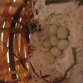 First Clutch