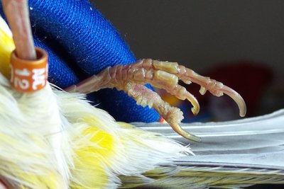 20150117_095047.jpg