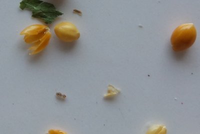 20150129_081306.jpg