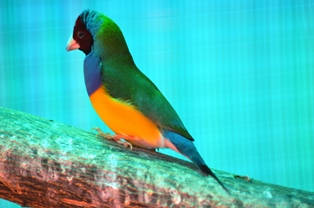 DSC_0377.JPG