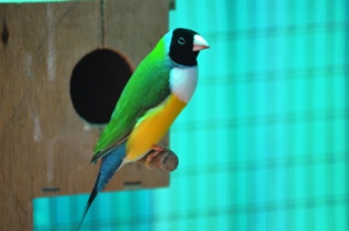 DSC_0380.JPG