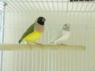 Family4616.jpg