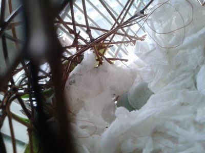 20150211_134500.jpg