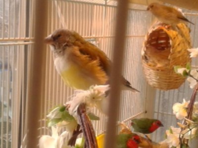 20150213_091645.jpg