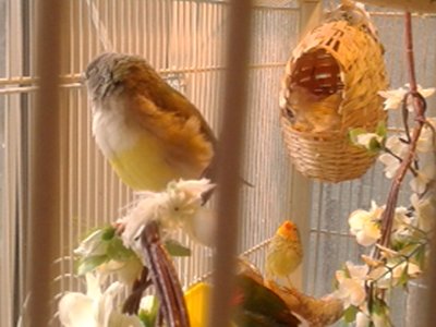 20150213_091710.jpg